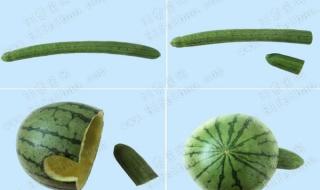 怎么做手工小乌龟 怎么做手工小乌龟