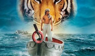 少年派免费观看 少年派免费观看