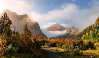 幸福的天堂 幸福的天堂