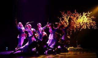 铿锵玫瑰手语舞 铿锵玫瑰手语舞