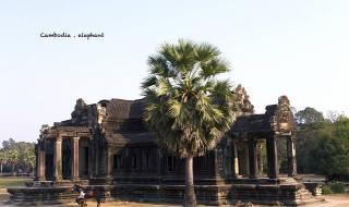 荒野日记最强角色排名 荒野日记最强角色排名