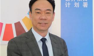 中国人均粮食占有量