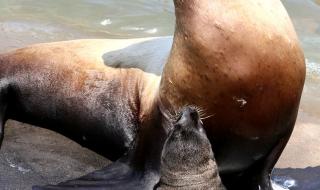 西霞口野生动物园 西霞口野生动物园