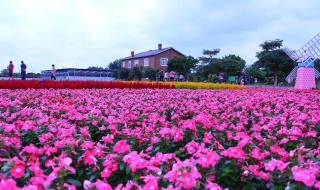 中山仙沐园温泉