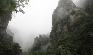 乌镇自由行3天攻略 乌镇自由行3天攻略